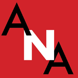 American Nonprofit Academy testimonial for Copper Quail Consulting