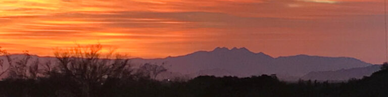 Copper Quail Consulting hails from Phoenix, Arizona and provides HR solutions to Valley businesses.